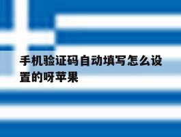 手机验证码自动填写怎么设置的呀苹果