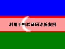 利用手机验证码诈骗案例