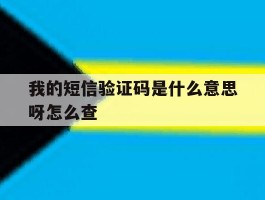 我的短信验证码是什么意思呀怎么查