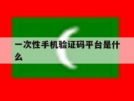 一次性手机验证码平台是什么