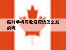 临时手机号收发短信怎么发的呢