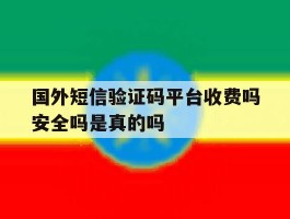 国外短信验证码平台收费吗安全吗是真的吗的简单介绍