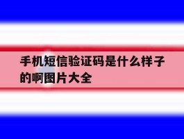 手机短信验证码是什么样子的啊图片大全