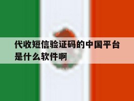代收短信验证码的中国平台是什么软件啊的简单介绍