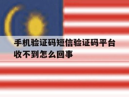 手机验证码短信验证码平台收不到怎么回事