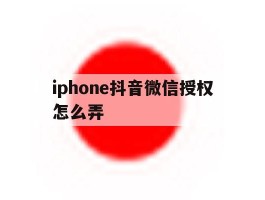 iphone抖音微信授权怎么弄
