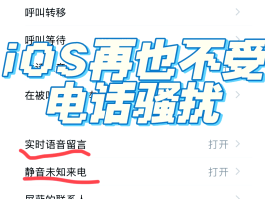 临时短信号码怎么发给别人呢苹果手机