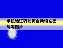 手机验证码如何自动填充密码呢图片