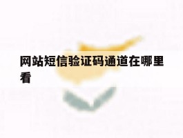 网站短信验证码通道在哪里看