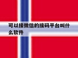 可以接微信的接码平台叫什么软件