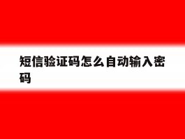 短信验证码怎么自动输入密码