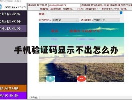 手机验证码显示不出怎么办