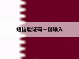 短信验证码一键输入