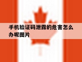 手机验证码泄露的危害怎么办呢图片