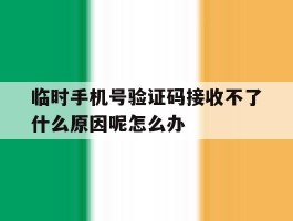 临时手机号验证码接收不了什么原因呢怎么办的简单介绍