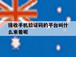 接收手机验证码的平台叫什么来着呢