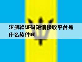 注册验证码短信接收平台是什么软件啊的简单介绍