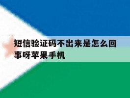 短信验证码不出来是怎么回事呀苹果手机