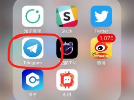 国外手机接收短信软件叫什么