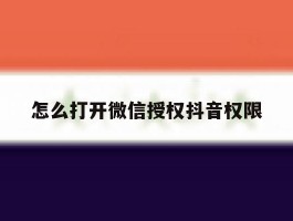 怎么打开微信授权抖音权限