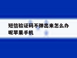 短信验证码不弹出来怎么办呢苹果手机