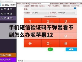 手机短信验证码不弹出看不到怎么办呢苹果12的简单介绍
