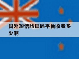 国外短信验证码平台收费多少啊