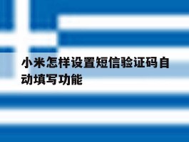 小米怎样设置短信验证码自动填写功能
