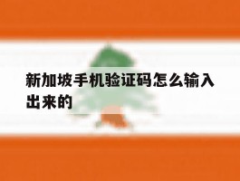 新加坡手机验证码怎么输入出来的