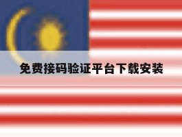 免费接码验证平台下载安装