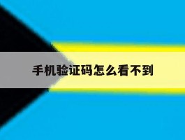 手机验证码怎么看不到