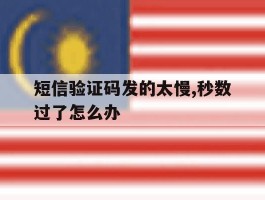 短信验证码发的太慢,秒数过了怎么办