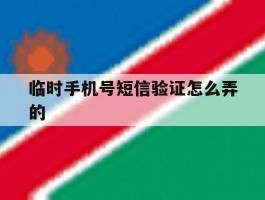 临时手机号短信验证怎么弄的