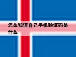 怎么知道自己手机验证码是什么