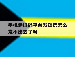包含手机验证码平台发短信怎么发不出去了呀的词条