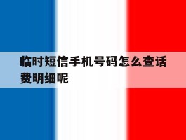 临时短信手机号码怎么查话费明细呢的简单介绍