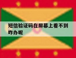 短信验证码在屏幕上看不到咋办呢