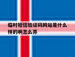 临时短信验证码网站是什么样的啊怎么弄