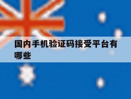 国内手机验证码接受平台有哪些