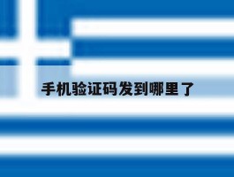 手机验证码发到哪里了