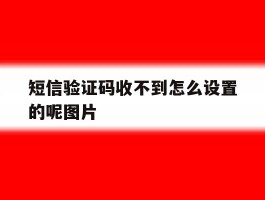 关于短信验证码收不到怎么设置的呢图片的信息