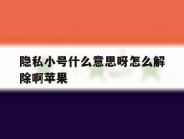 隐私小号什么意思呀怎么解除啊苹果