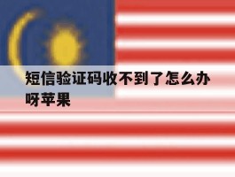 短信验证码收不到了怎么办呀苹果