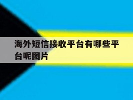 海外短信接收平台有哪些平台呢图片