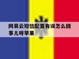 网易云短信配置有误怎么回事儿呀苹果
