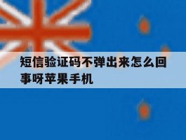 短信验证码不弹出来怎么回事呀苹果手机