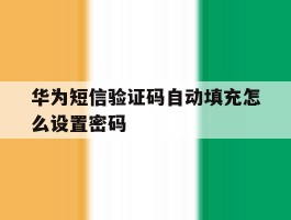 华为短信验证码自动填充怎么设置密码