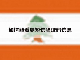 如何能看到短信验证码信息