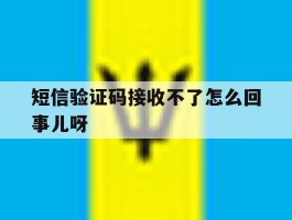 短信验证码接收不了怎么回事儿呀