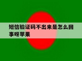 短信验证码不出来是怎么回事呀苹果